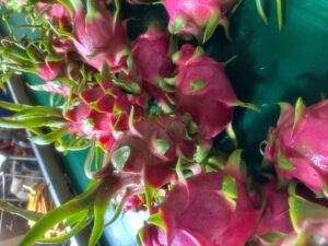 Vietnam dragon fruit with white flesh and red flesh, export-quality fresh dragon fruit for importers and wholesale buyers.