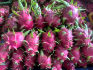 Vietnam dragon fruit with white flesh and red flesh, export-quality fresh dragon fruit for importers and wholesale buyers.