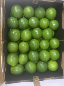 Fresh seedless limes from Vietnam with green skin and high juice content, export-quality limes for importers and wholesale buyers.